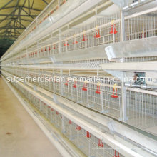 Types H automatique galvanisé acier couche volailles Cages